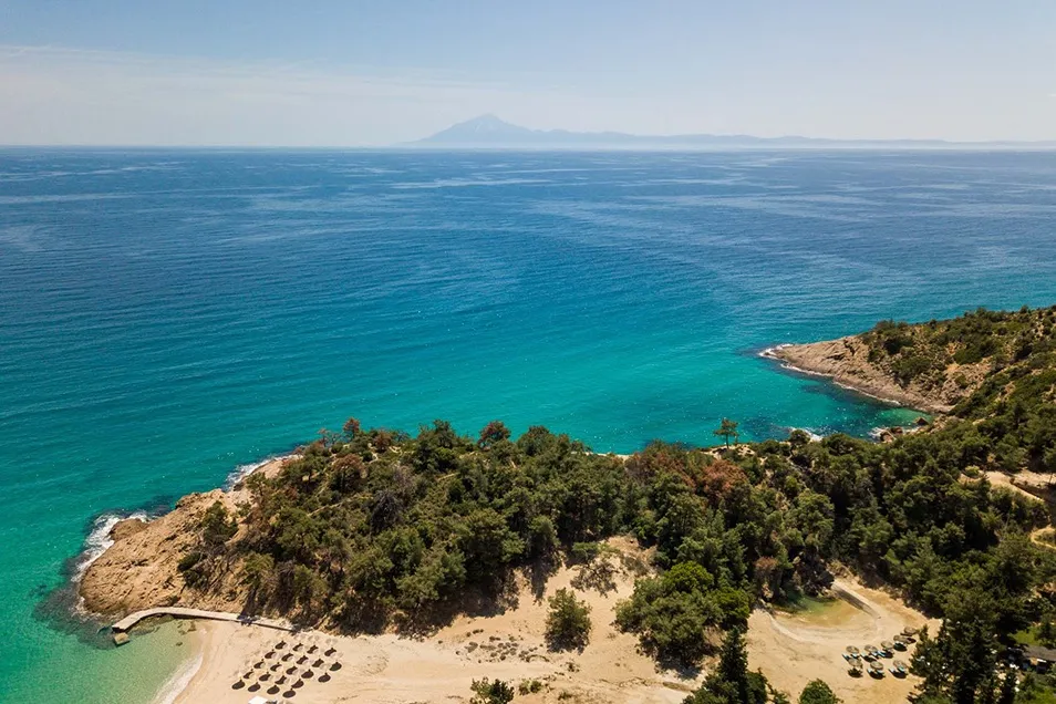 Next to the Sea